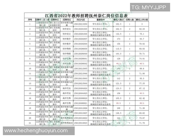 南京羽毛球队在城市联赛中的个人能力表现分析与点评